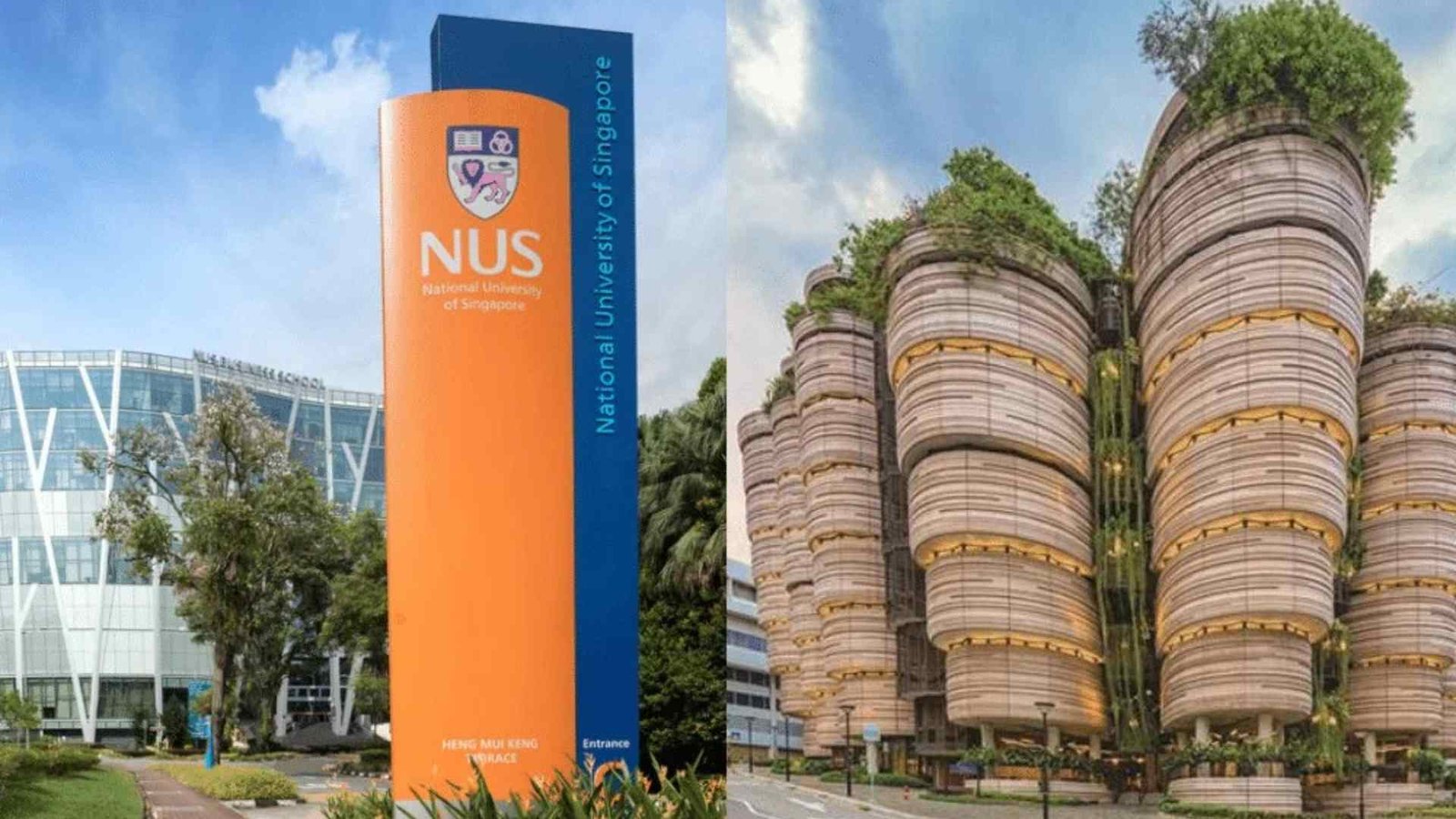 NUS campus and top schools near ELTA in Clementi