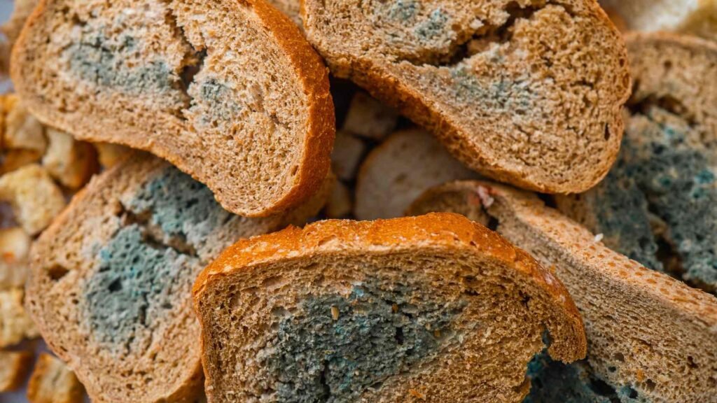 the danger of letting your home become stale